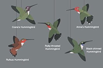 Hummingbirds Mobile for Home Decor