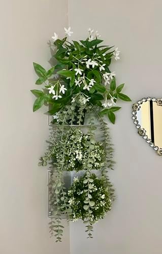 5 Tier Floating Acrylic Corner Shelf Organizer
