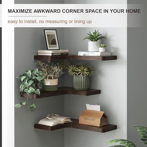 Fuqing Floating Corner Shelves Set of 3