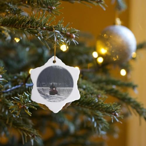 3dRose Snow Mobile Rider Porcelain Snowflake Ornament 3-Inch