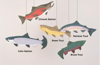 Trout Mobile for Home Decor
