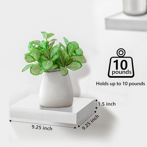 Sorbus 4 Square Floating Shelves for Wall Decor