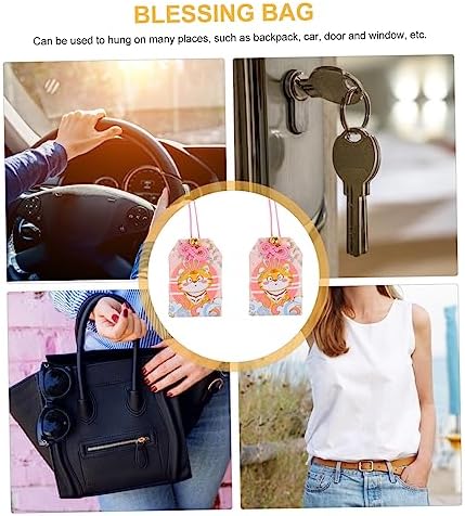 Lucky Blessing Bag for Home and Car Decor