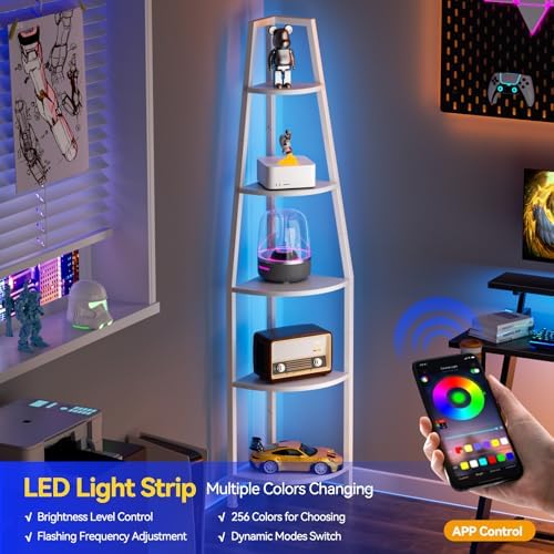 Furnulem 5 Tier Corner Shelf with LED Light