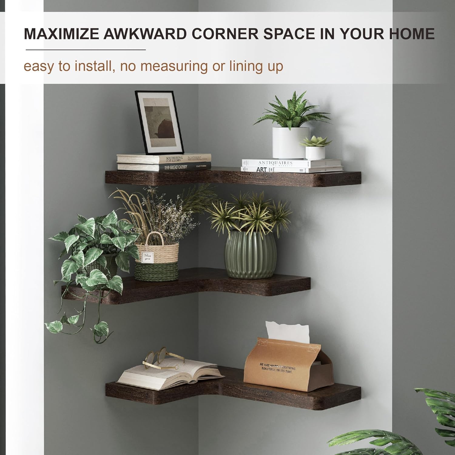 Fuqing Floating Corner Shelves Set of 3