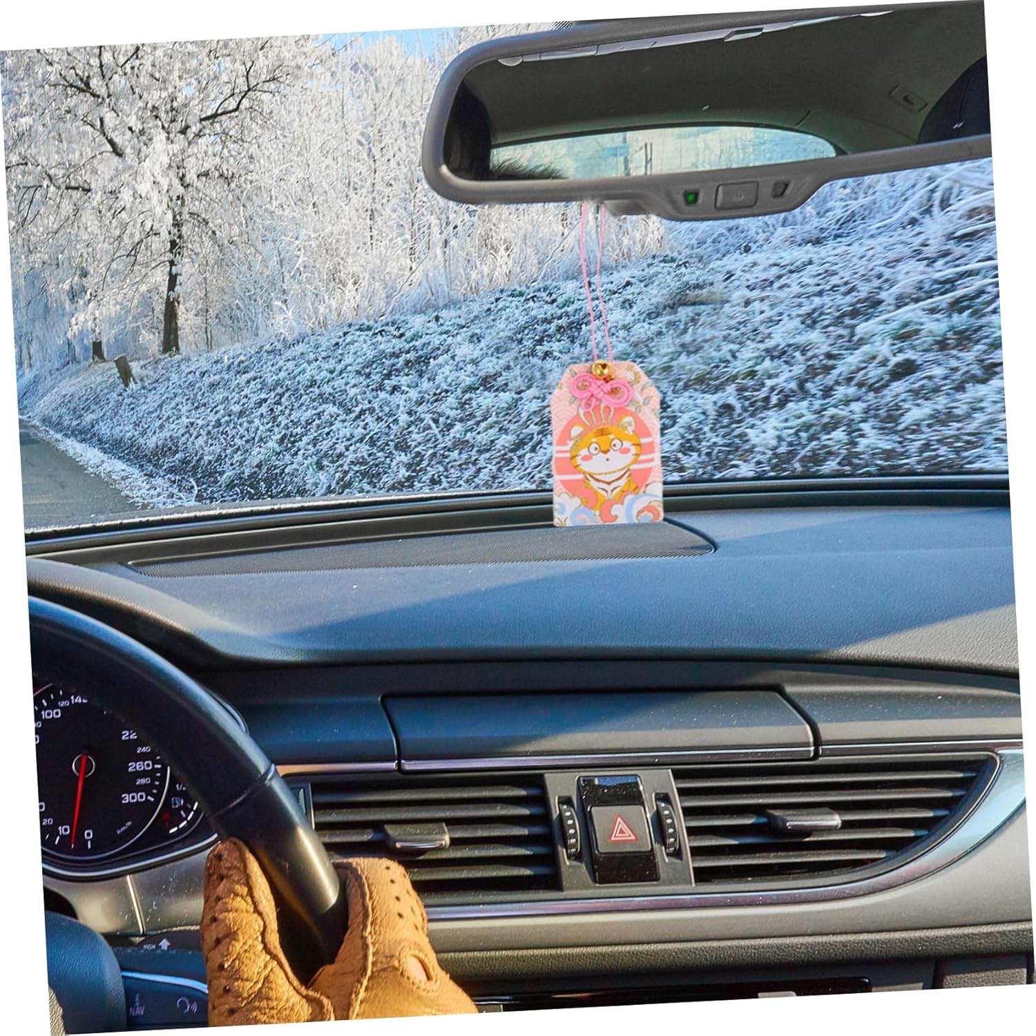 Lucky Blessing Bag for Home and Car Decor