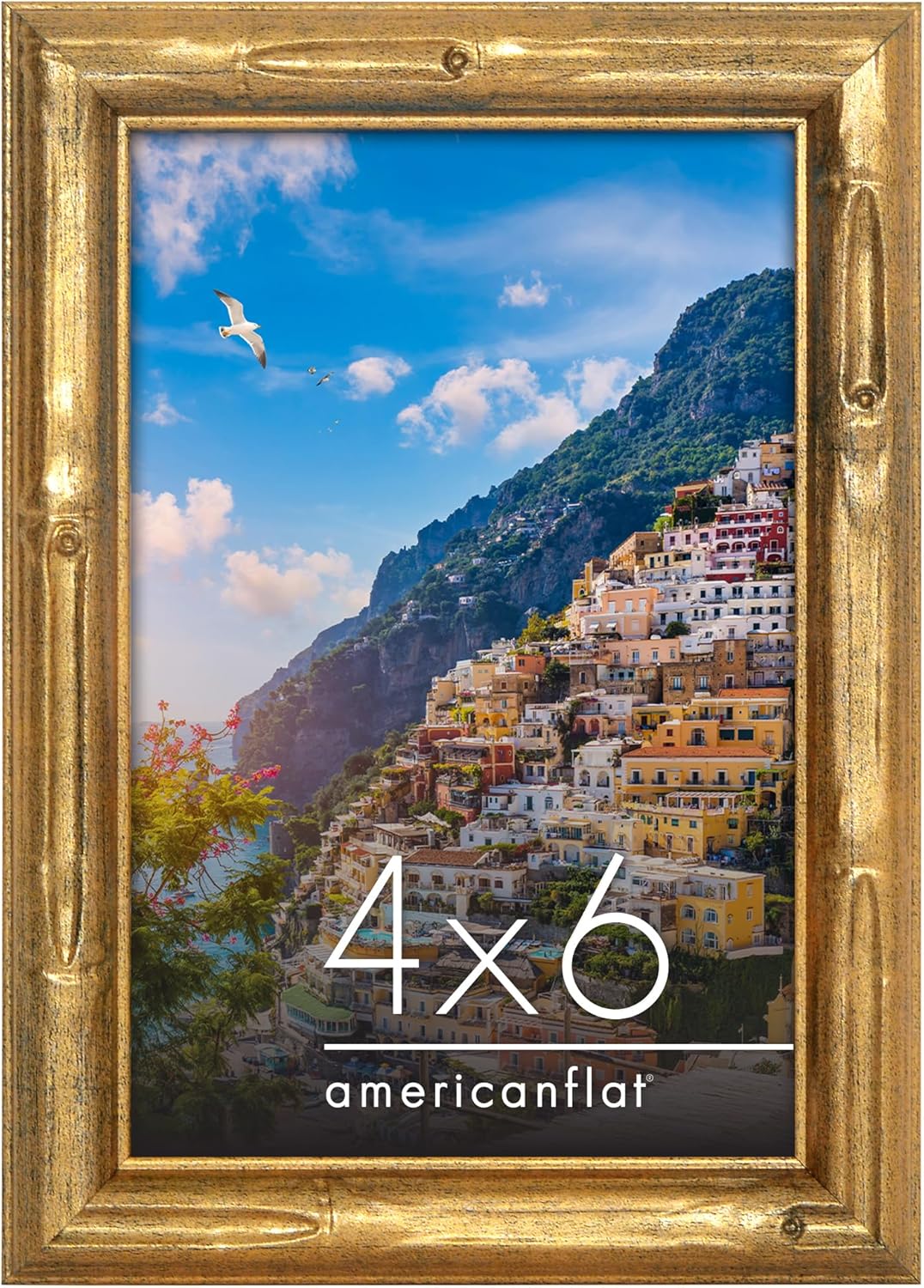 Americanflat 4x6 Bamboo Frame with Gold Finish